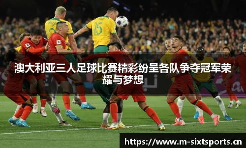 6t体育官方网站