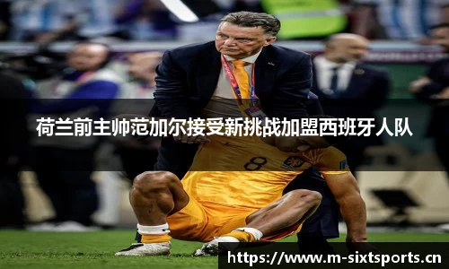 6t体育平台