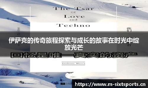 6t体育