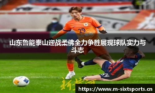 6t体育官方网站