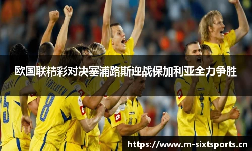 6t体育