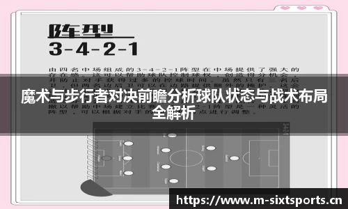 6t体育官网